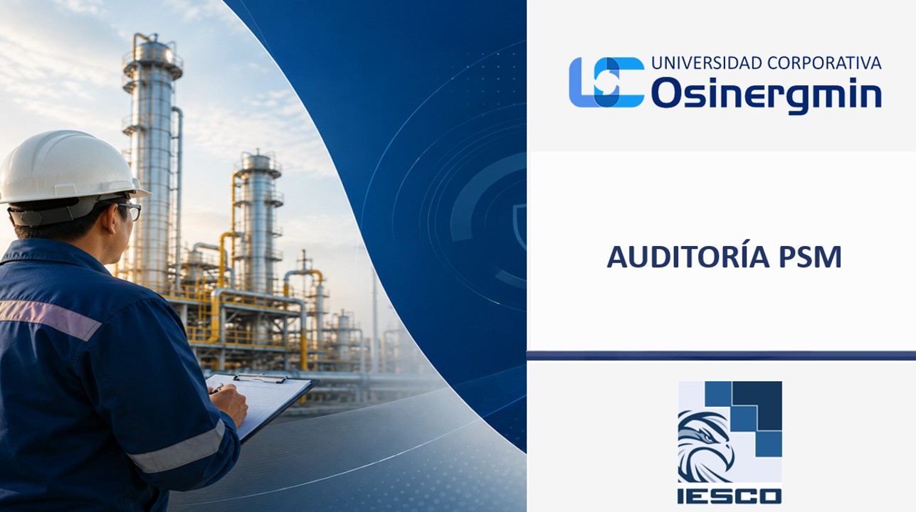 Auditoría PSM